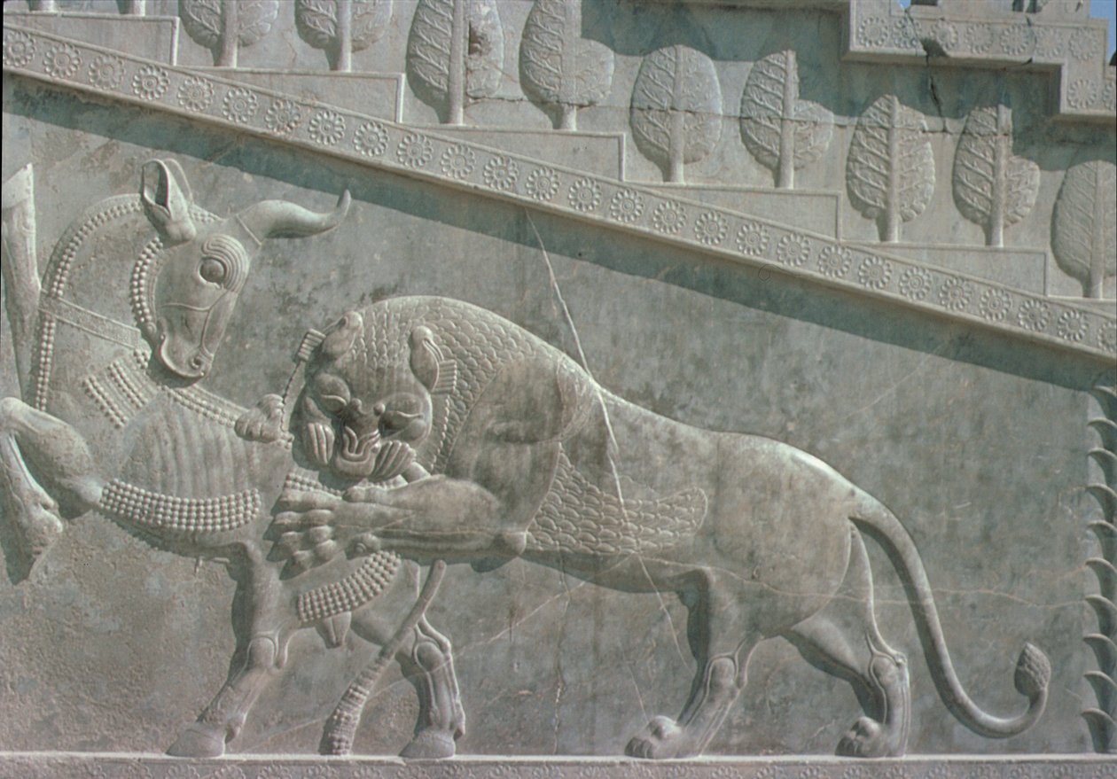 Relieff på østtrappen til Apadana (publikumssal) som viser en løve som kjemper mot en okse, akemensk periode, ca. 515 f.Kr. (kalkstein) av Achaemenid