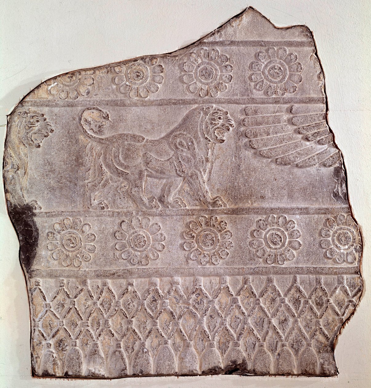 Fragment av lavt relieff som representerer en vandrende løve. Fra Persepolis (Iran) Epoque Routenide, 460 f.Kr. Seattle, kunstmuseum av Achaemenid