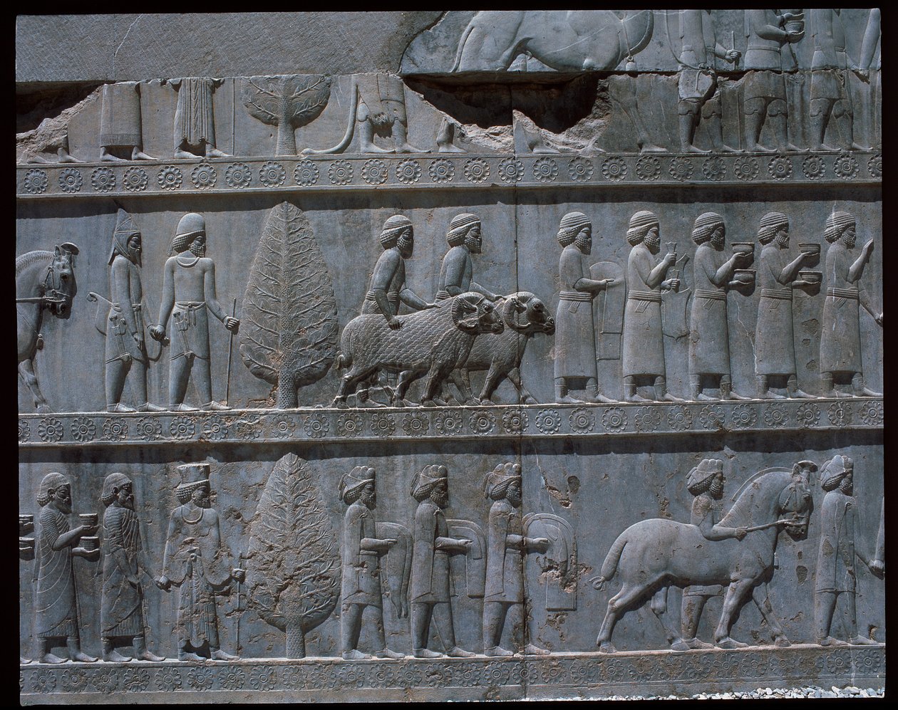 Utsikt over relieffene av østre trapper av Achaemenid