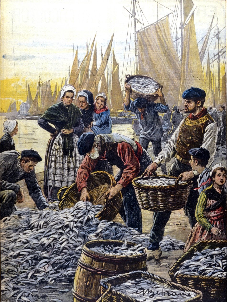 Sardinfiske i Bretagne i 1903 illustrasjon av Achille Beltrame av Achille Beltrame
