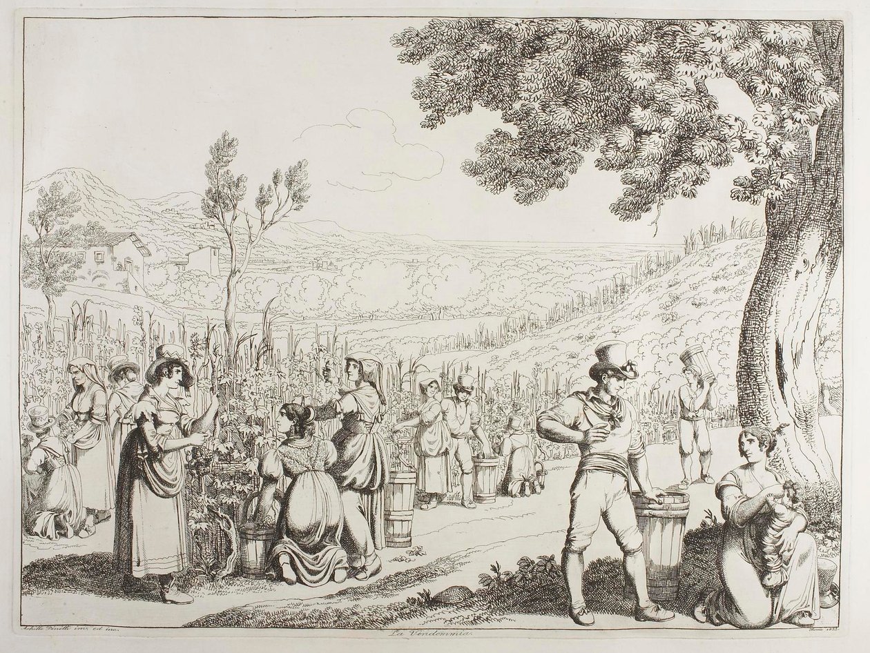Vinhøsten av Achille Pinelli