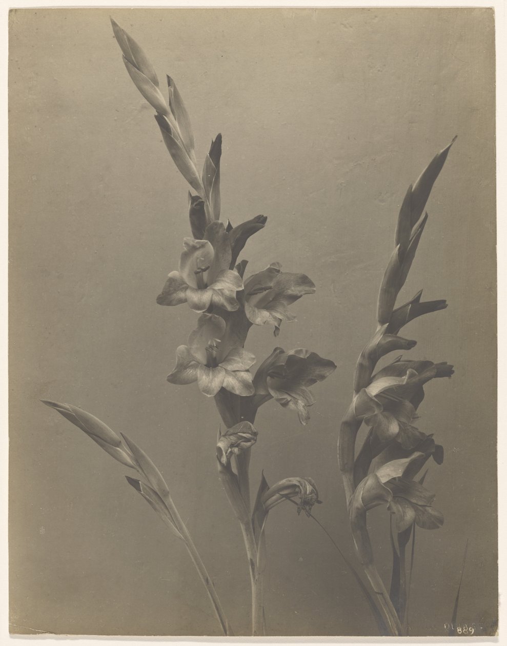  av Achille Quinet