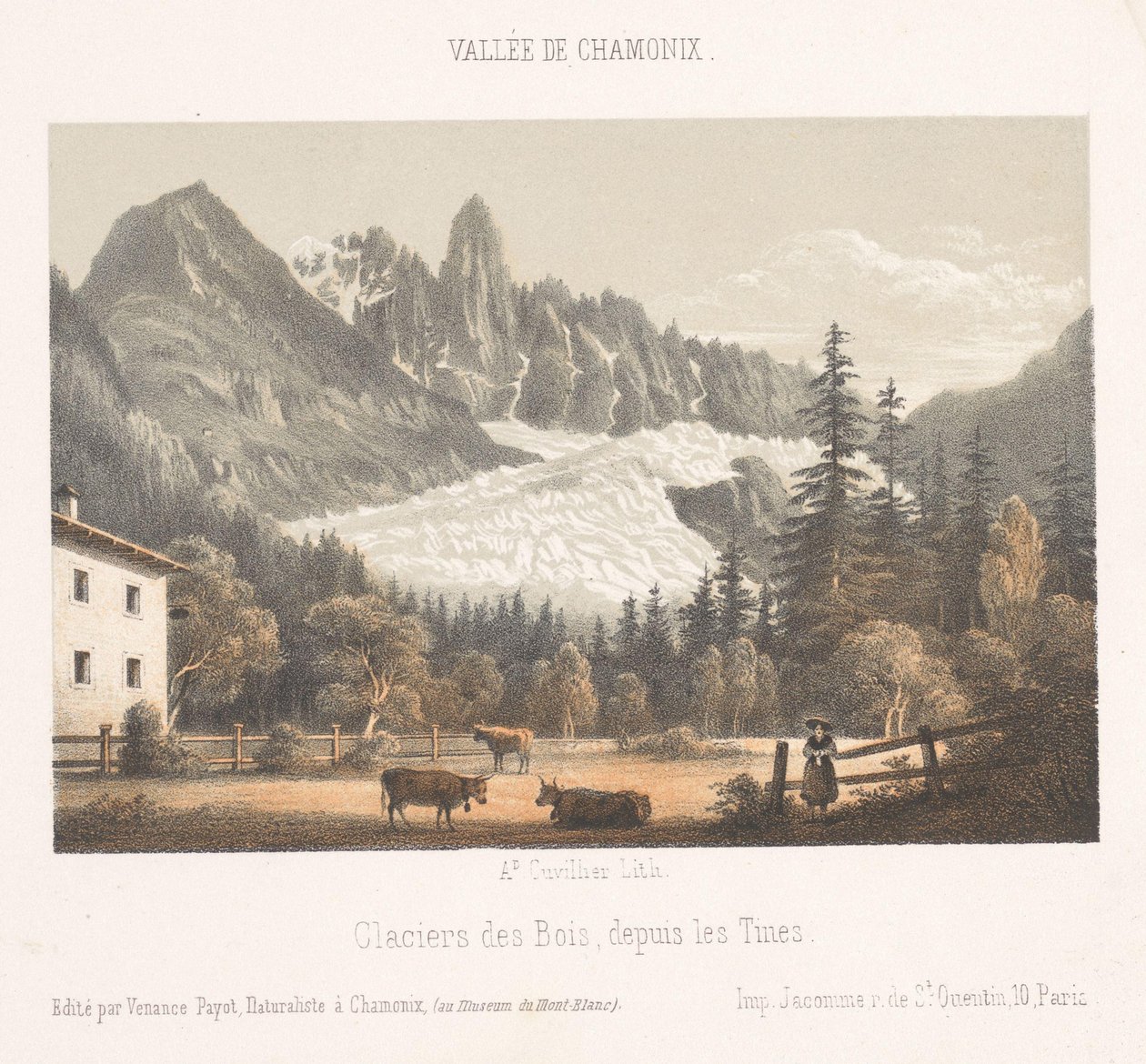 Utsikt over Chamonix og Mont Blanc fra nord Chamonix et le Mont Blanc. Côte du Nord (tittel på objekt) Memory of Chamonix-Mont-Blanc (serietittel) Museum du Mont Blanc (serietittel) av Ad. Cuvillier