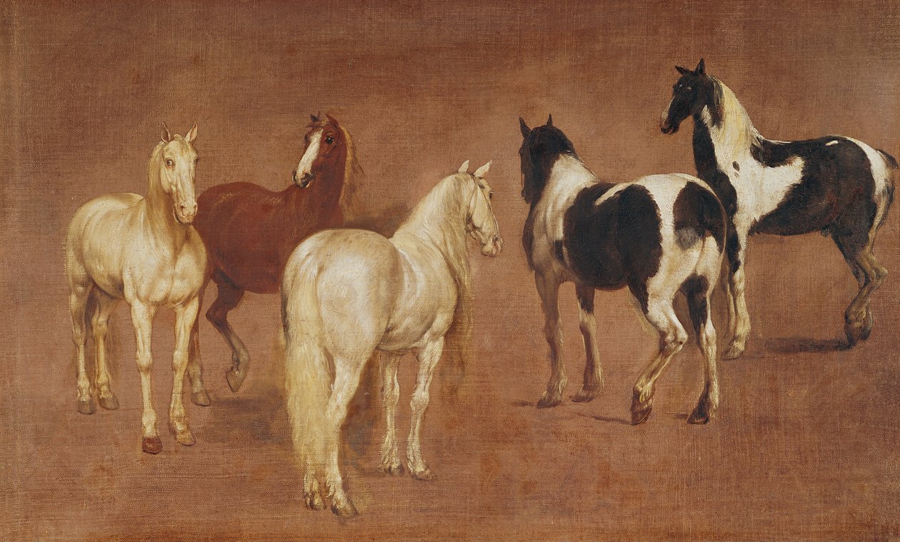 Studie av fem hester av Adam Frans van der Meulen