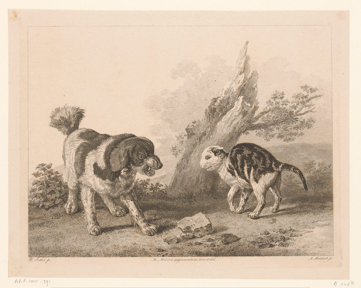 Hund og katt i kampstilling Dyr etter malerier av nederlandske mestere (serietittel) Différens animaux gravés d'après tableaux de différens maîtres hollandois (serietittel) av Adam von Bartsch
