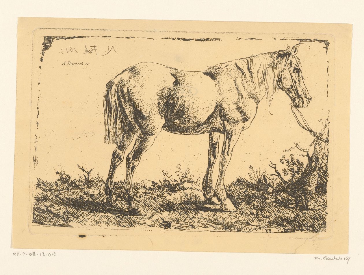 Hest på et tre av Adam von Bartsch