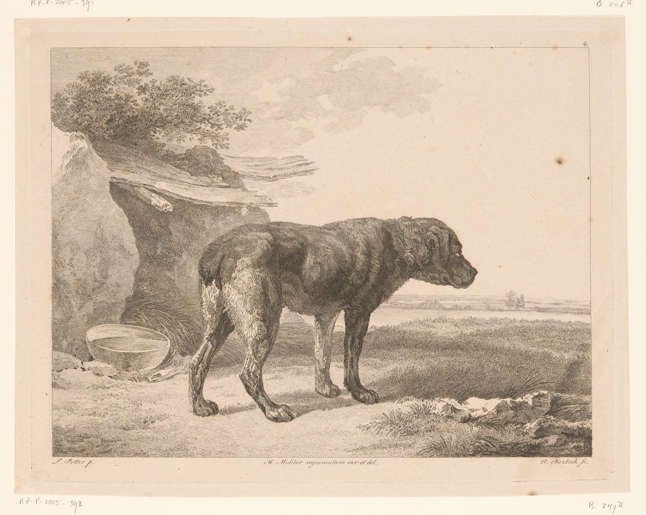 Stående hund i et landskap Dyr etter malerier av nederlandske mestere (serietittel) Différens animaux gravés d'après tableaux de différens maîtres hollandois (serietittel) av Adam von Bartsch