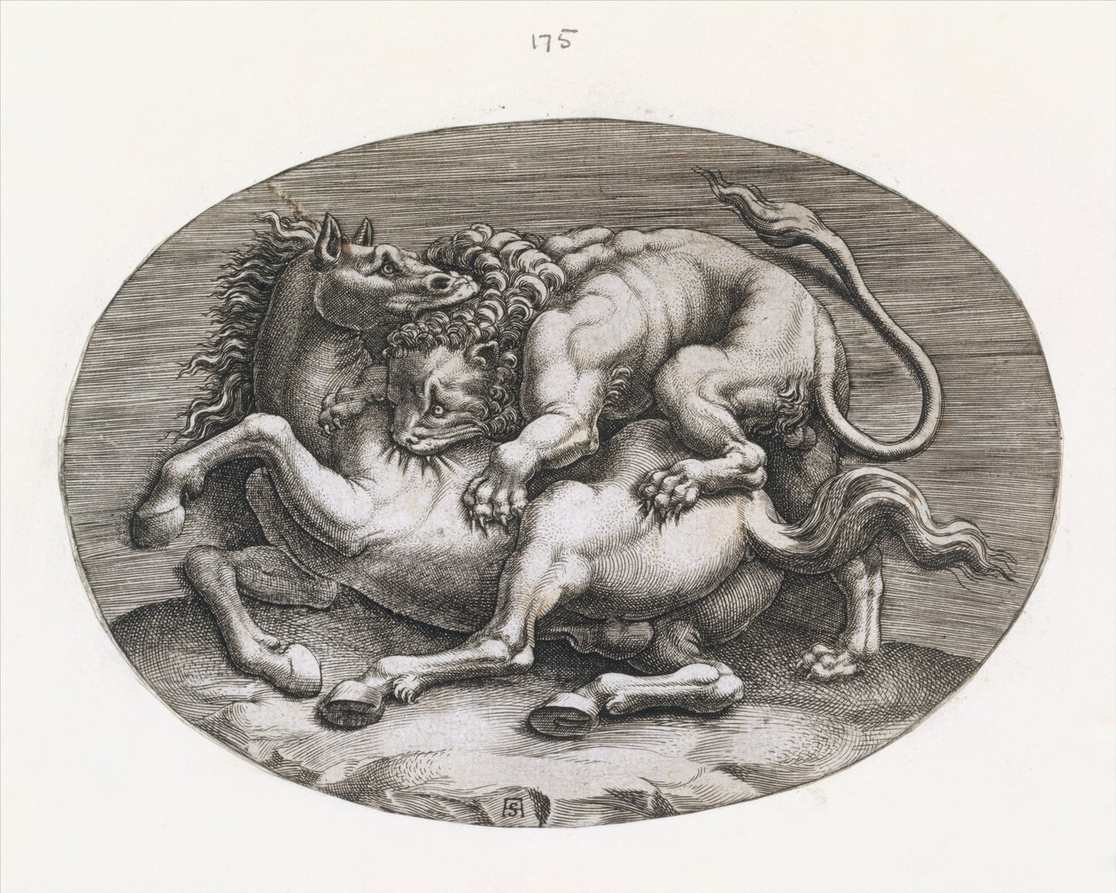 Speculum Romanae Magnificentiae: Lion Attacking a Horse, c1540-80.    1195341   no       norwegian Successfully Translated  Original: Spring Translat: Spring 1276468 no norwegian Successfully Translated Original: Studieblad met tekenvoorbeelden: koppen, di av Adamo Scultori