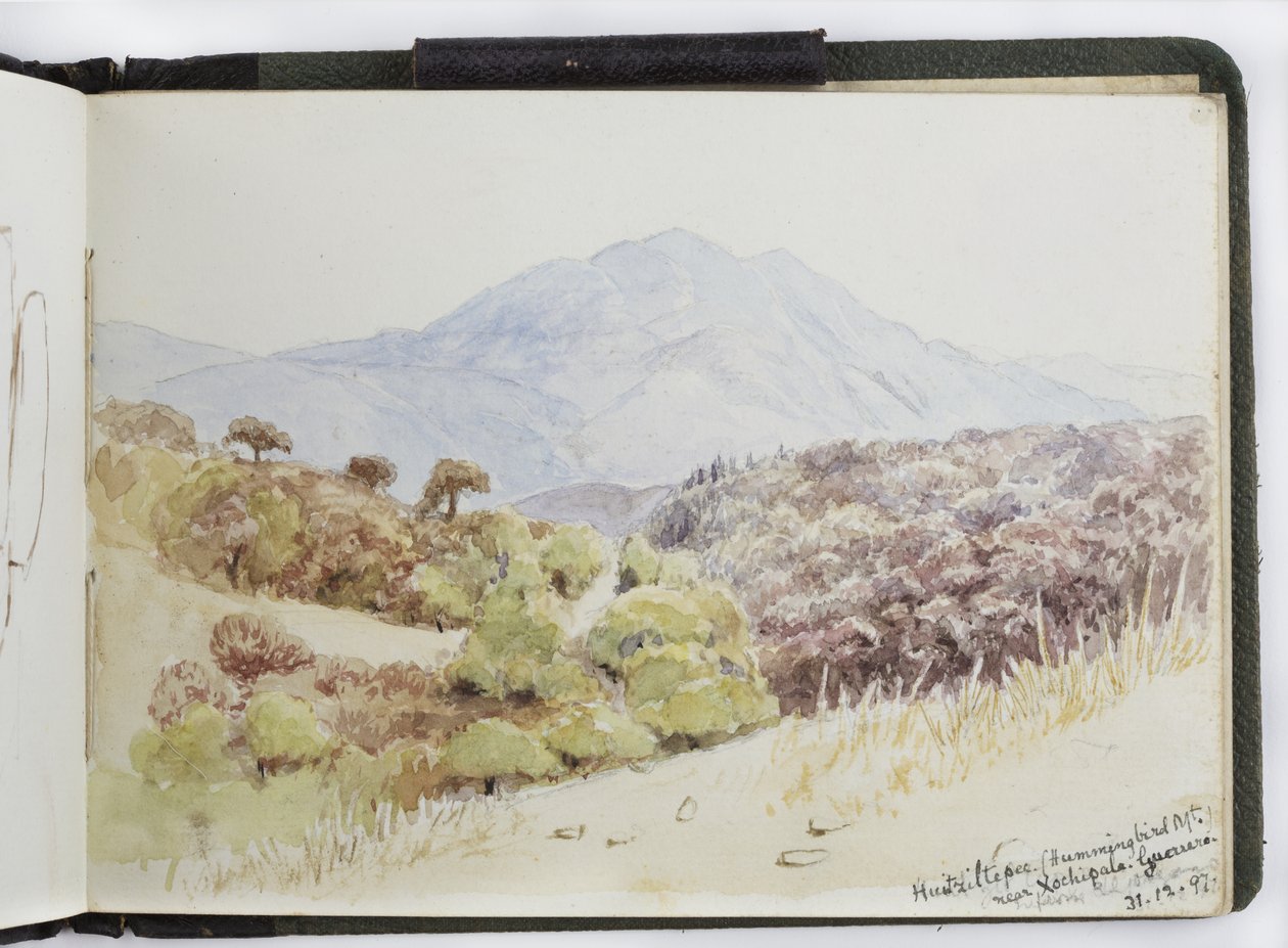 Skissebok med akvareller, tegninger og notater, Mexico, 1896-1898 (akvarell) av Adela Breton