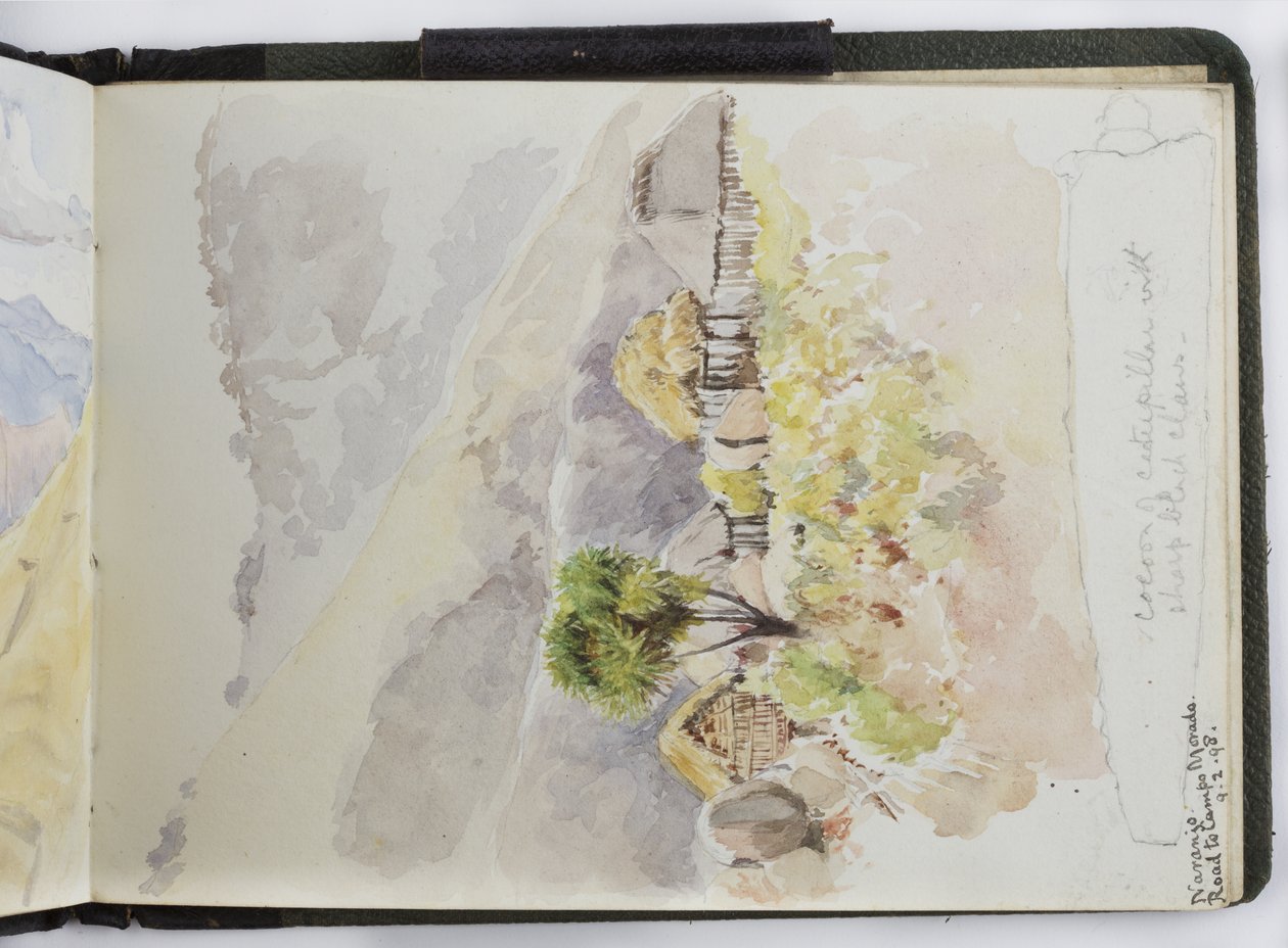 Skissebok med akvareller, tegninger og notater, Mexico, 1896-1898 (akvarell) av Adela Breton