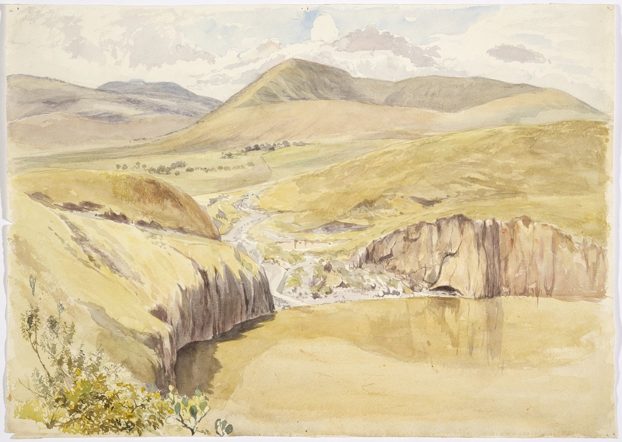 Alberea, nær Santiago del Valle, Guanajuato, Mexico (akvarell) av Adela Breton