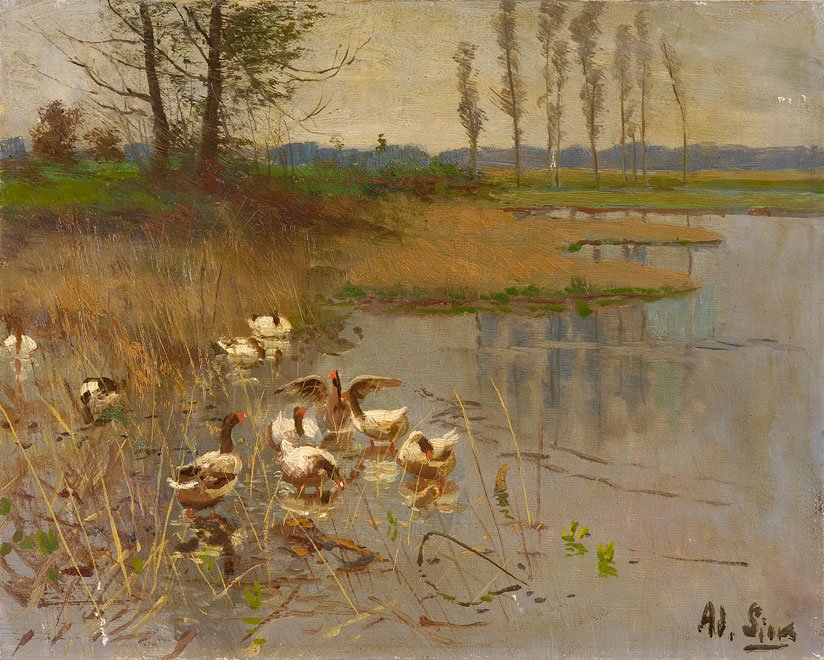Seascape med gås av Adolf Lins