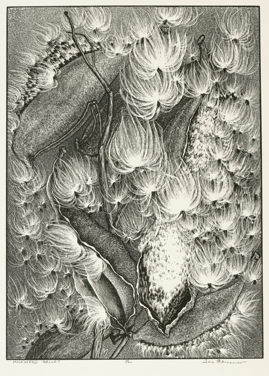 Milkweed ballett av Adolf Ernst Meissner