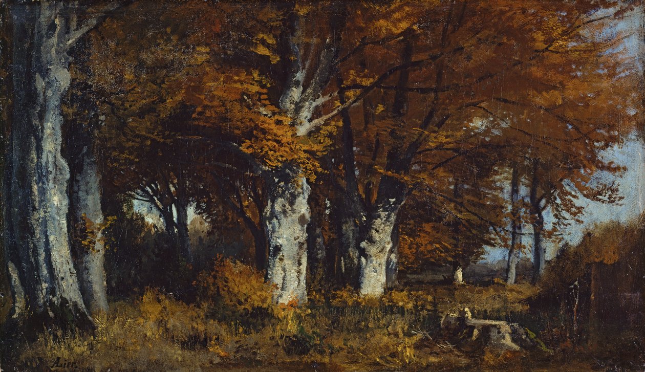 Bøkeskog om høsten av Adolf Heinrich Lier