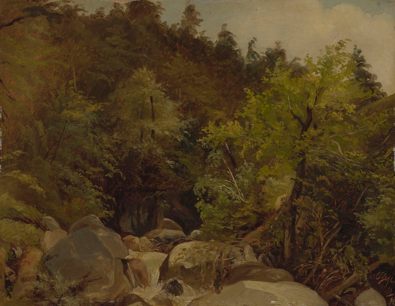 Foss nær Ohlstadt av Adolf Heinrich Lier