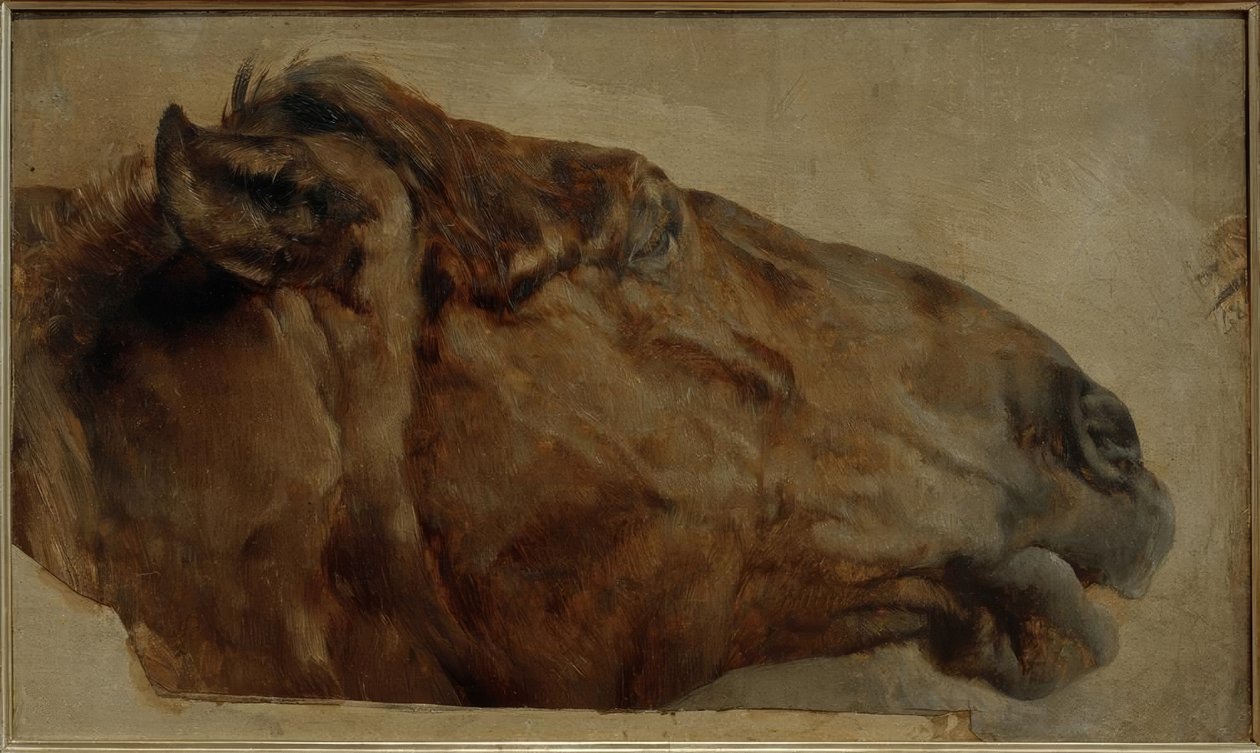 Hestestudie. Hodet fra siden til høyre av Adolph Menzel