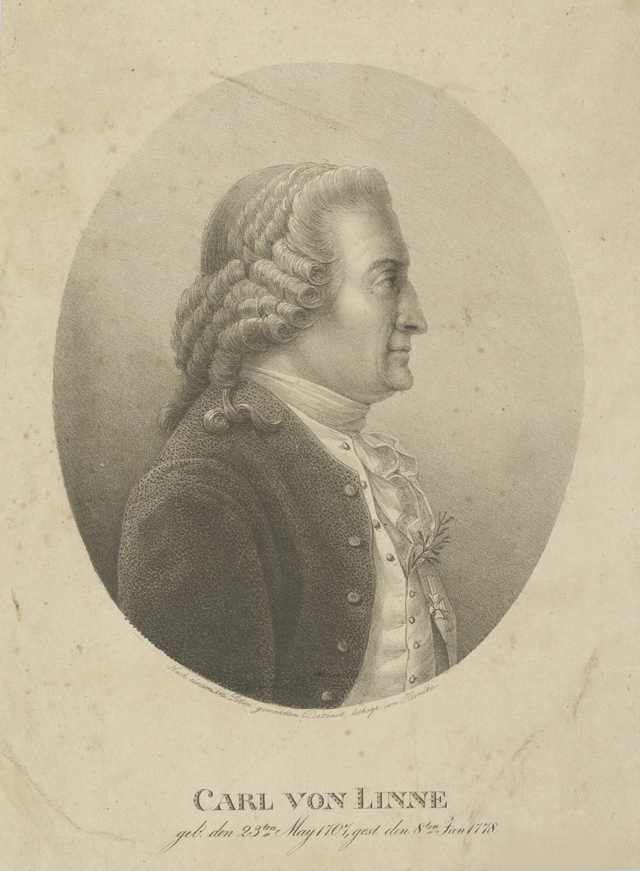 Portrett av Carl Linné 1707-1778, ca. 1800. av Adolph Friedrich Kunike