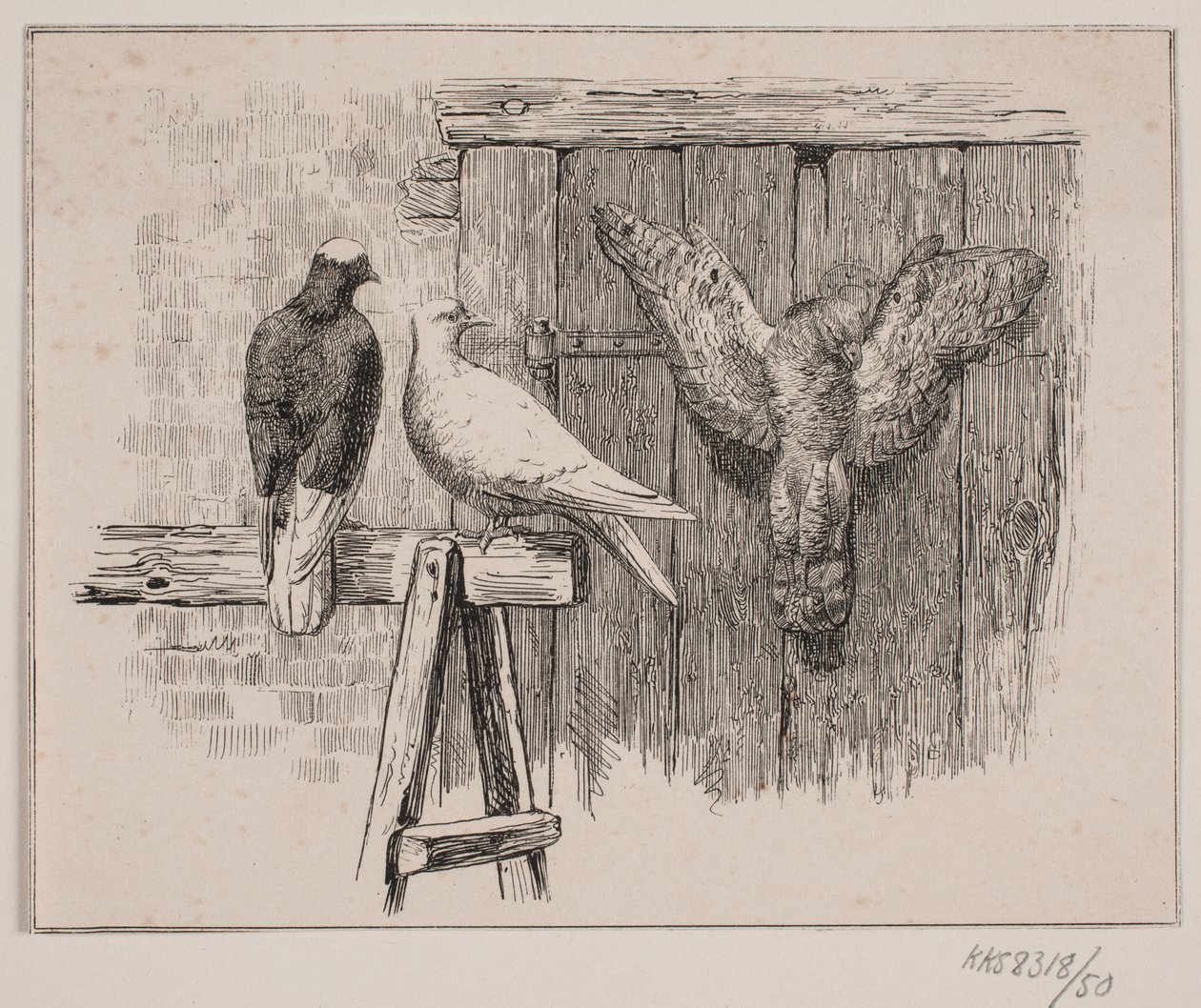 Duene av Johan Adolph Kittendorff