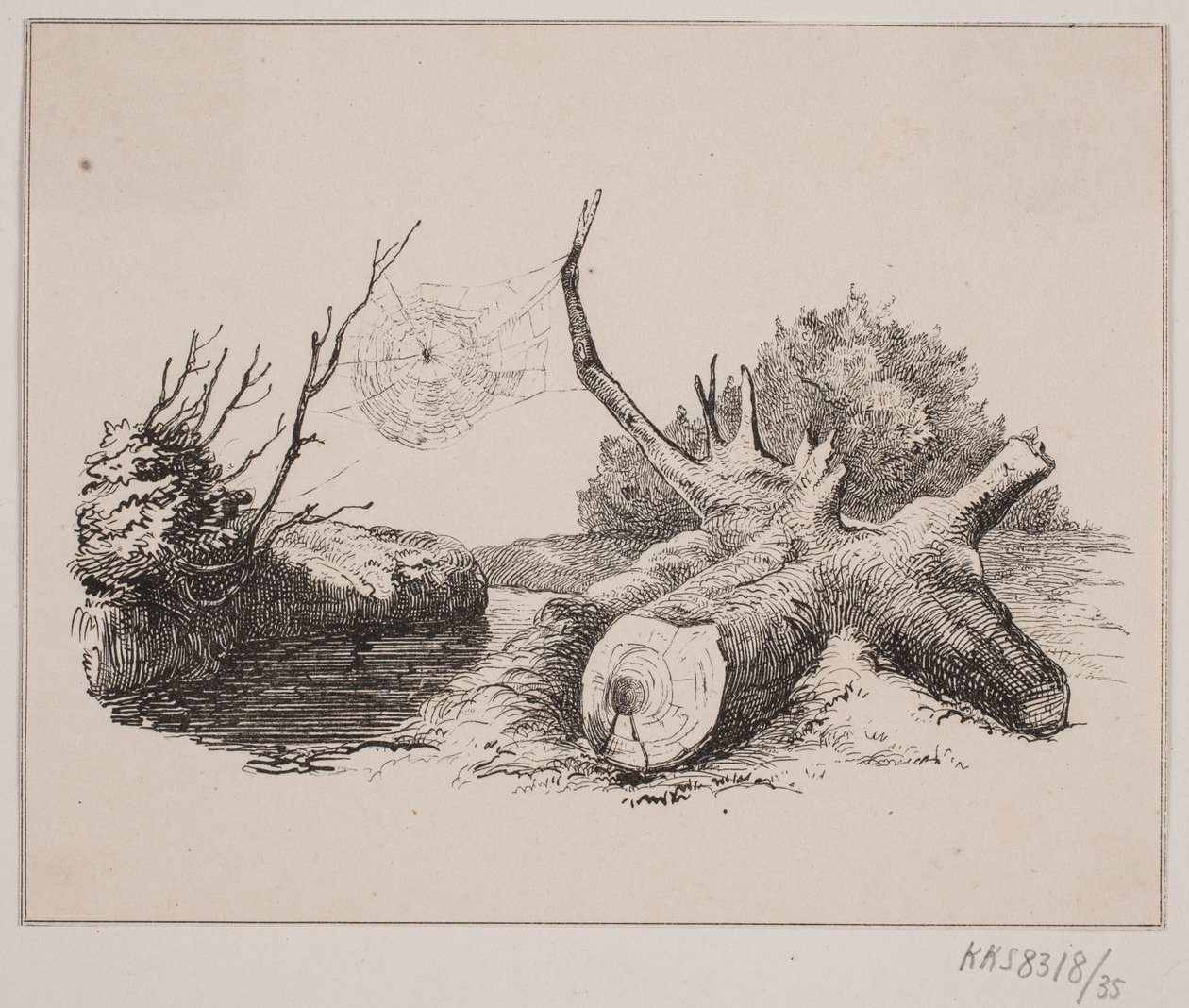 Ederkops av Johan Adolph Kittendorff
