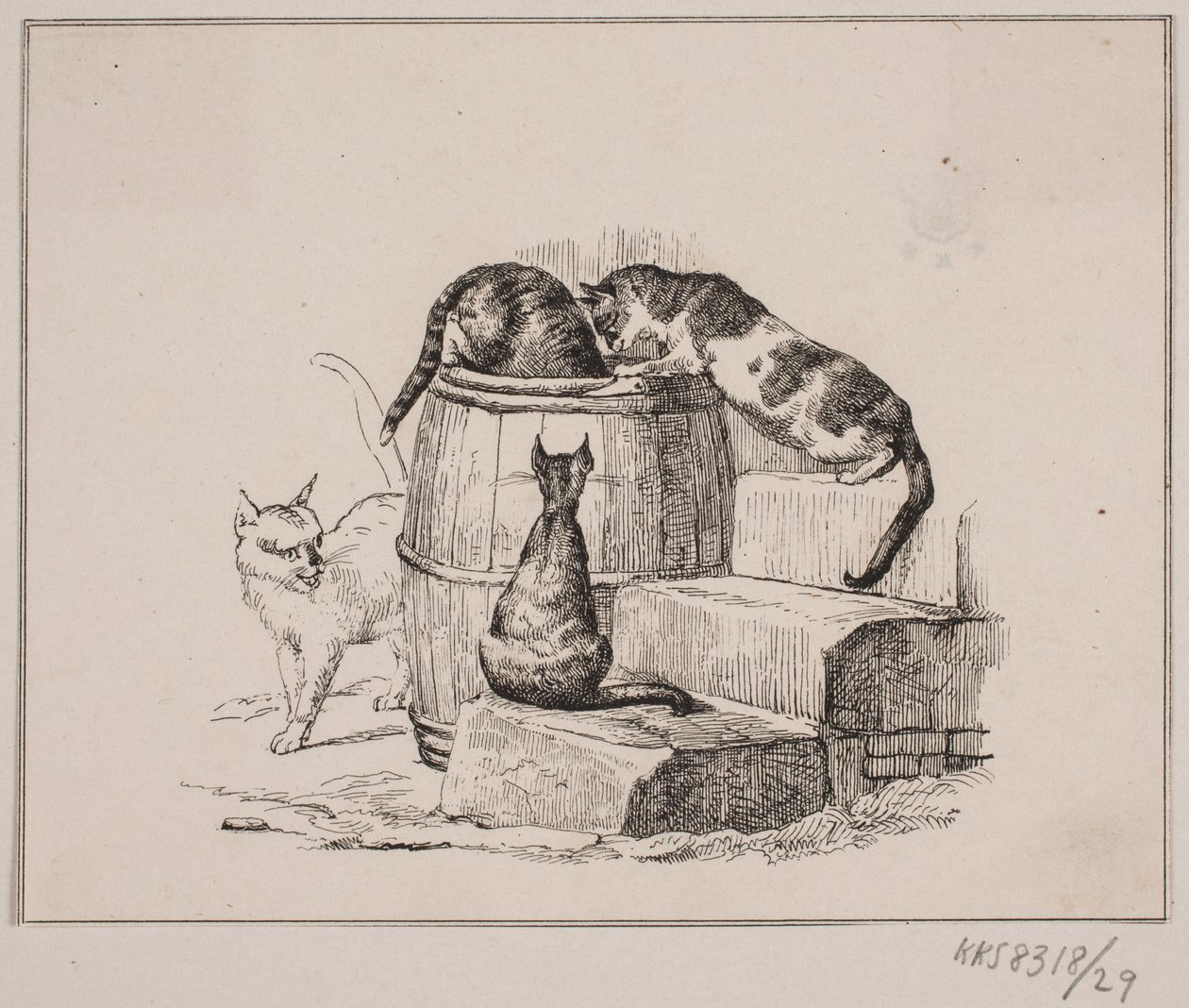 Kattene av Johan Adolph Kittendorff
