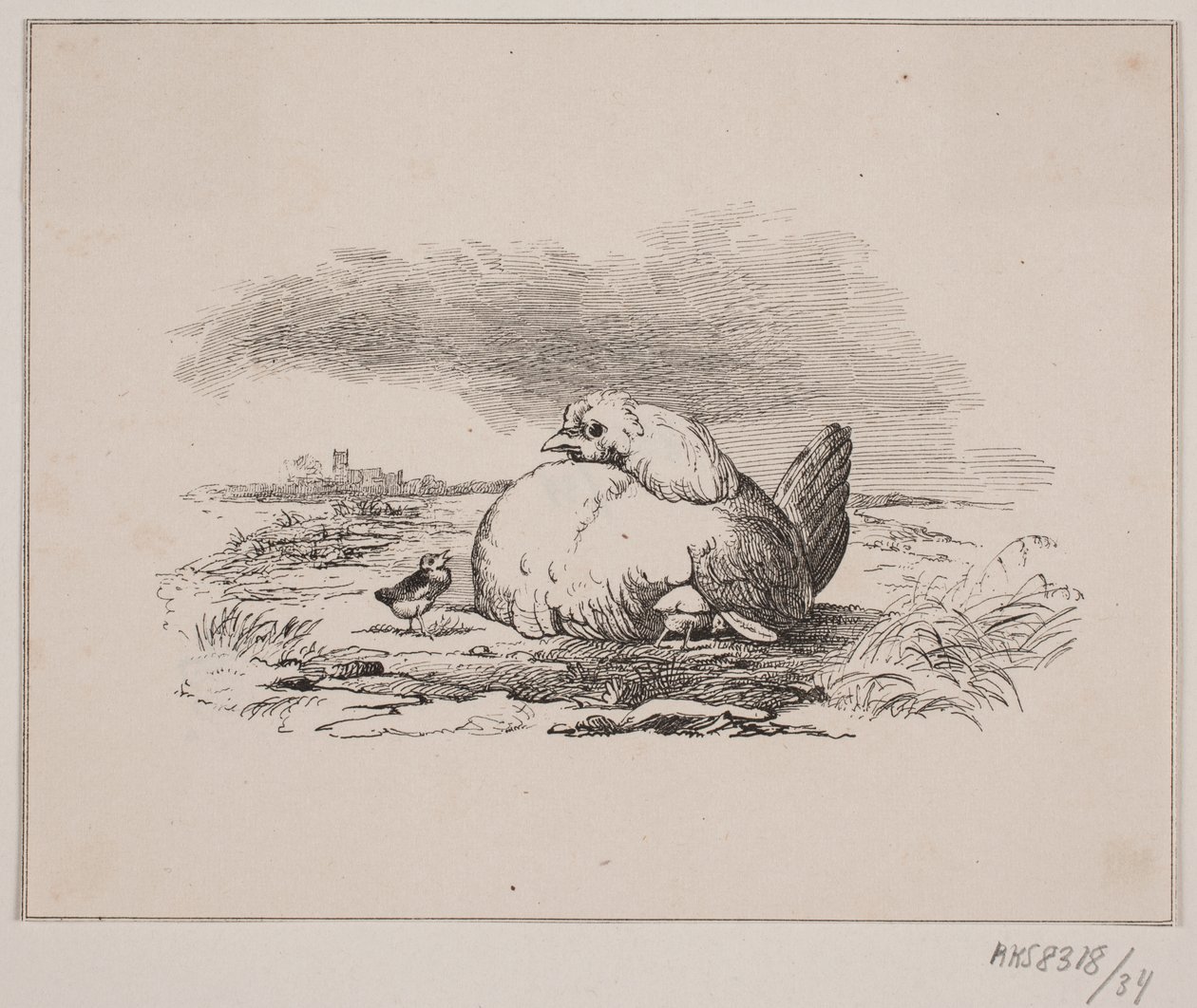 Kyllingene av Johan Adolph Kittendorff