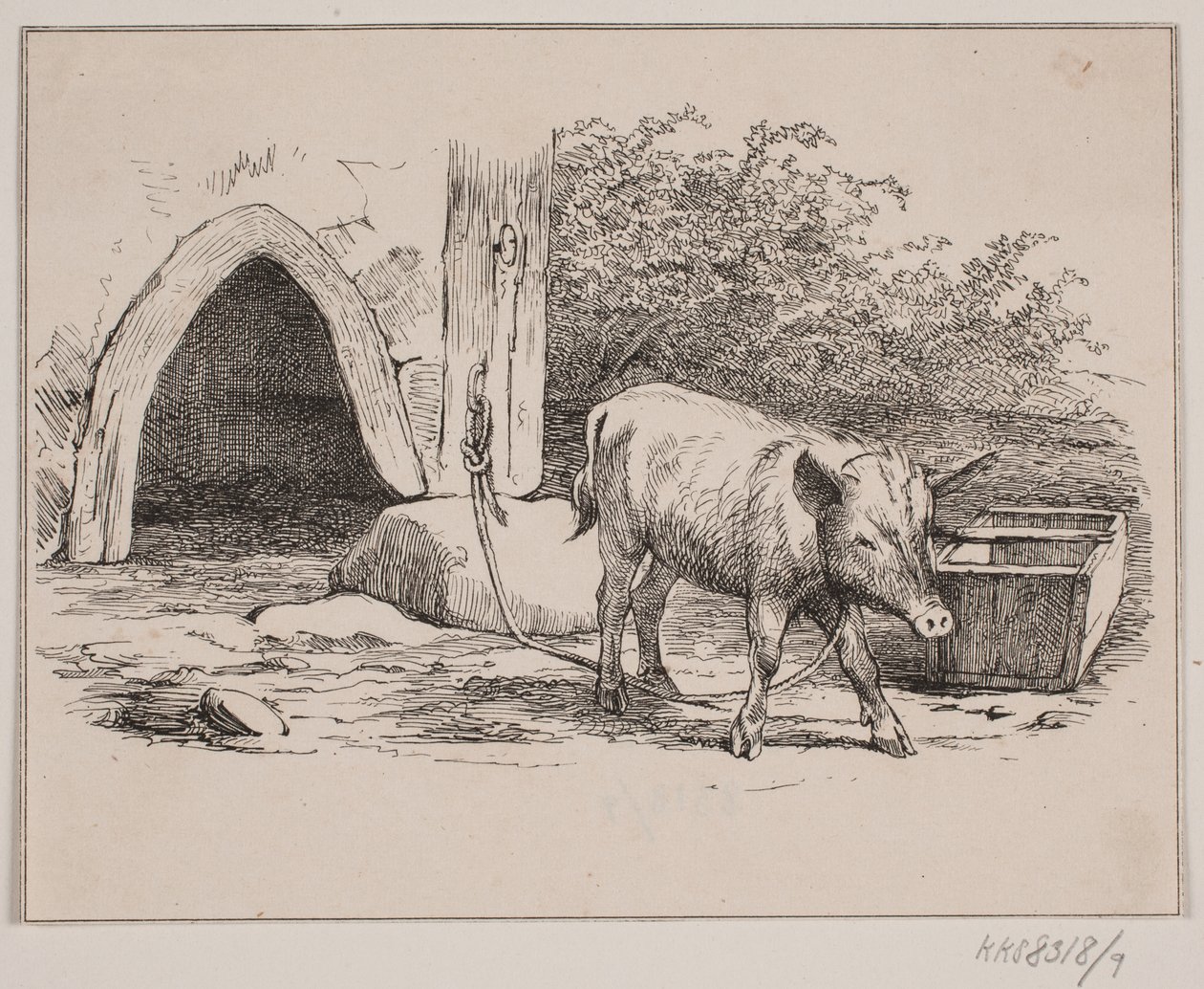Kjedegrisen av Johan Adolph Kittendorff
