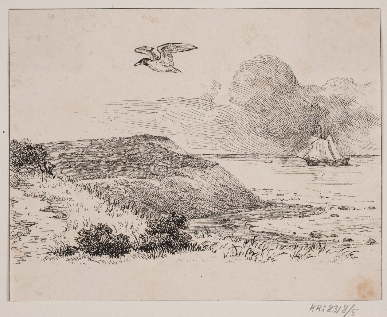 Måken av Johan Adolph Kittendorff