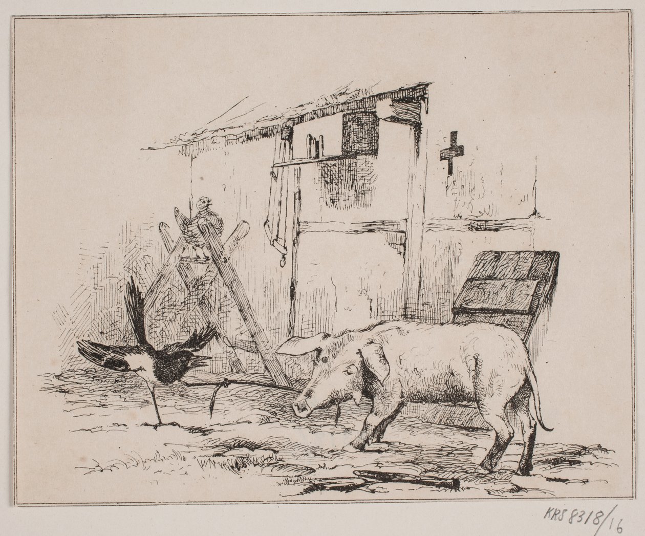 Skaden og grisen av Johan Adolph Kittendorff