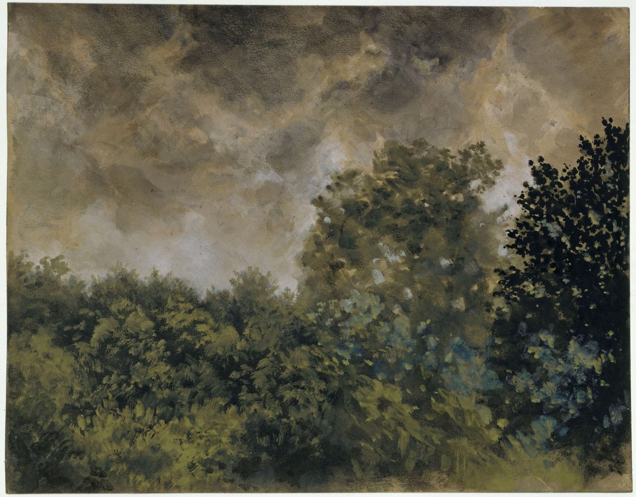 Utsikt over løvskog av Adolph Menzel