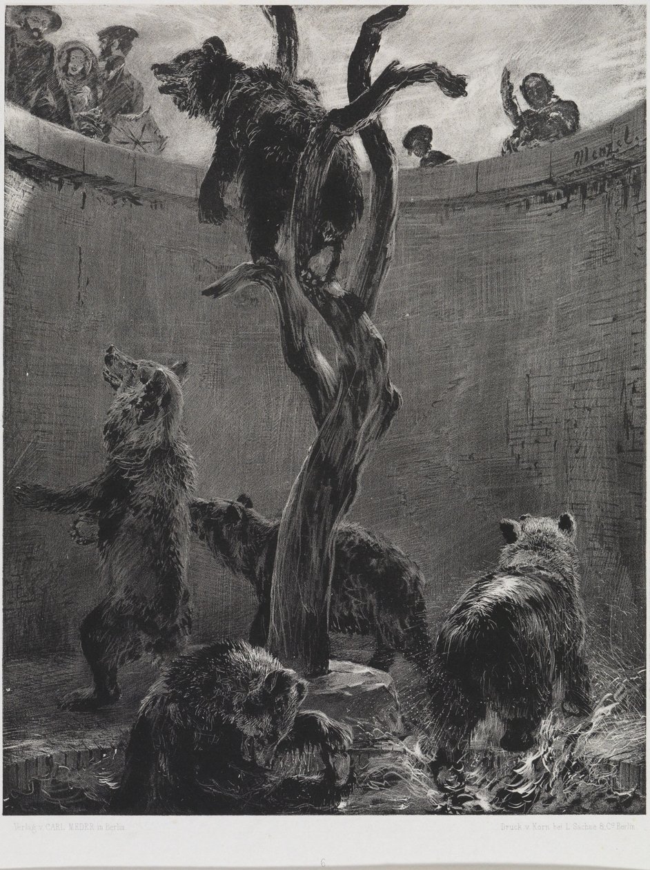 Bjørneinnhegningen i den zoologiske hagen av Adolph Menzel