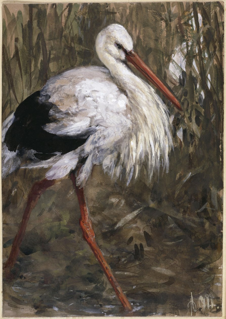 Storken i sivene. Fra «Barnealbumet» av Adolph Menzel