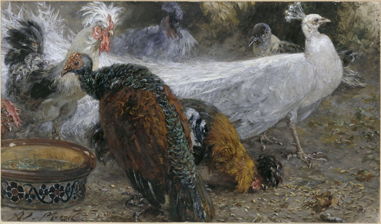 Den hvite påfuglen med kalkunhøne og høner. Fra "Barnealbumet" av Adolph Menzel