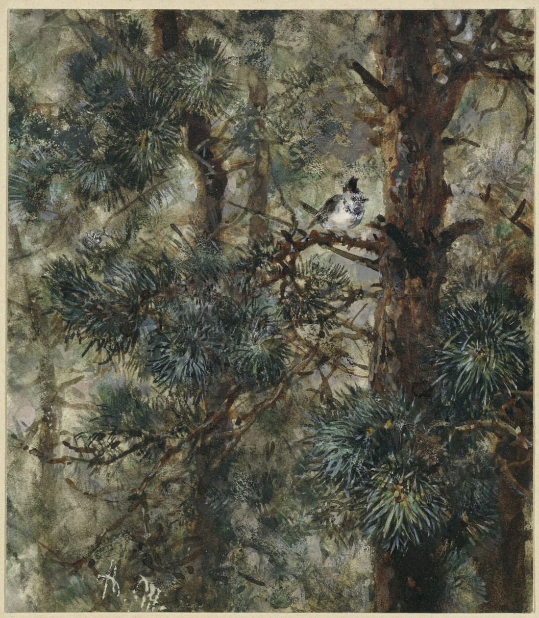 Toppmeisen i furugrenene. Fra «Barnealbumet» av Adolph Menzel