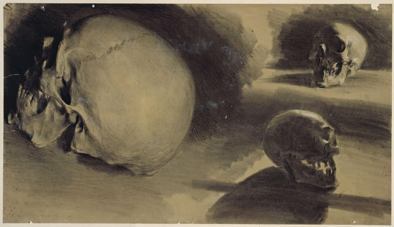 Tre bilder av en hodeskalle av Adolph Menzel