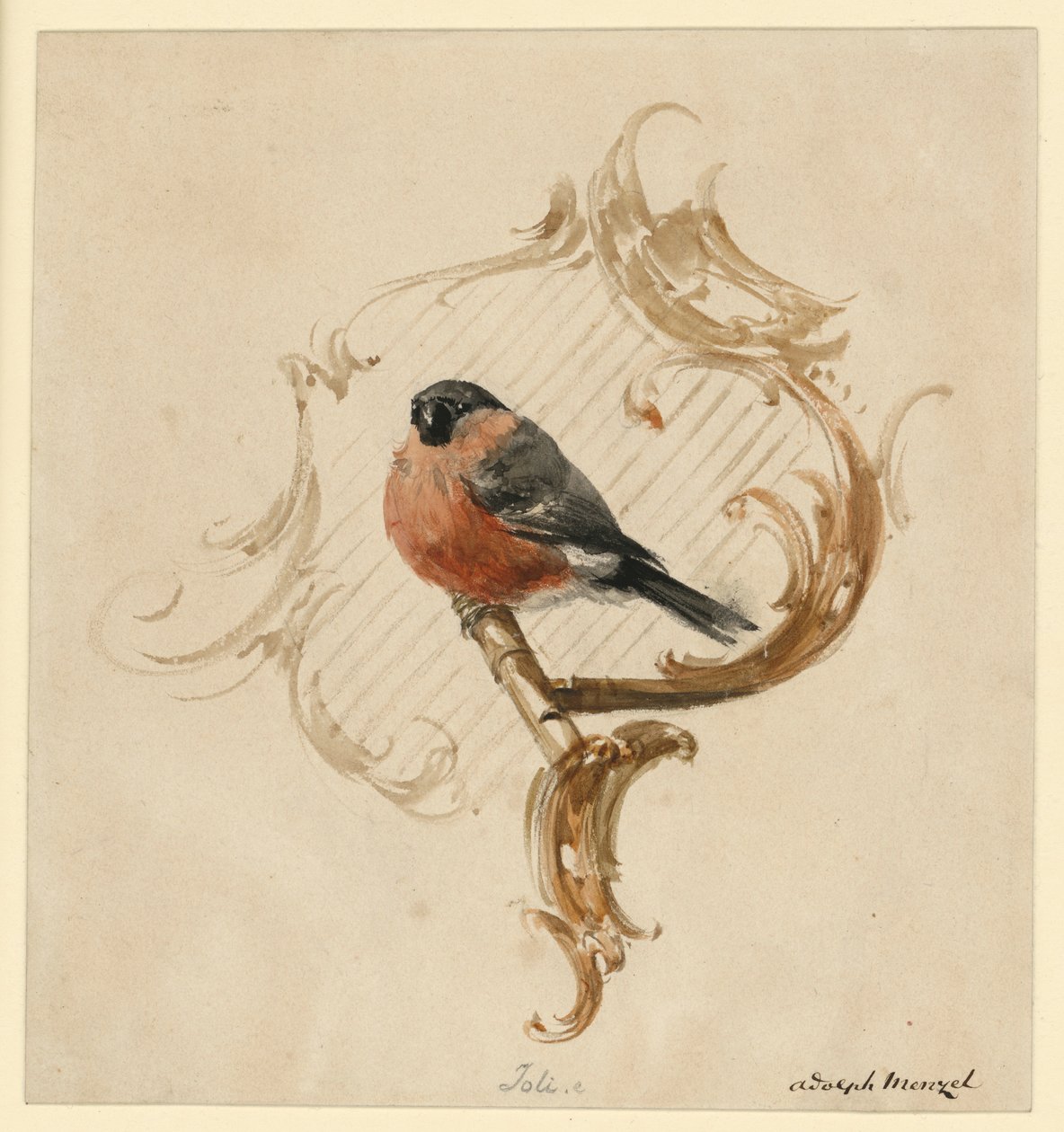 En dompap på en pinne foran rokokkoornamentikk av Adolph Menzel