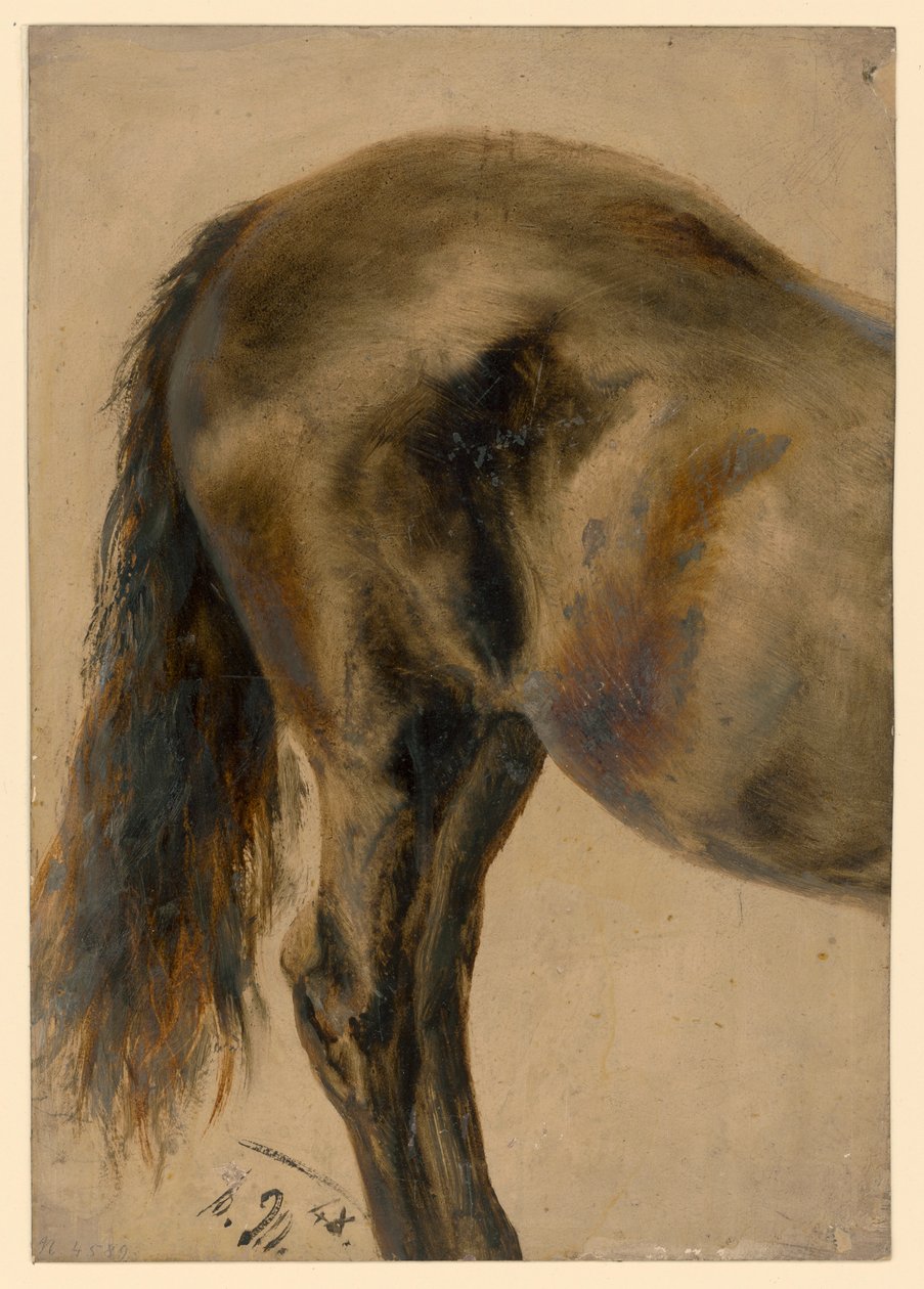 Bakparten av en hest i profil av Adolph Menzel