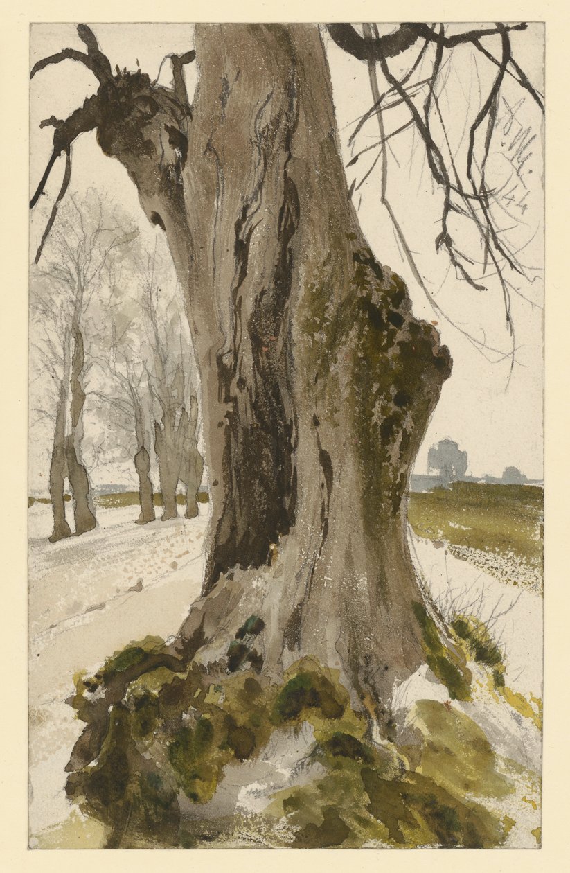 Hul trestubbe, med en tregruppe i bakgrunnen av Adolph Menzel
