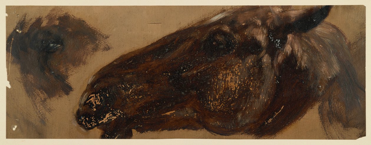 Hode av en hest mot venstre, med øyepartiet gjentatt av Adolph Menzel