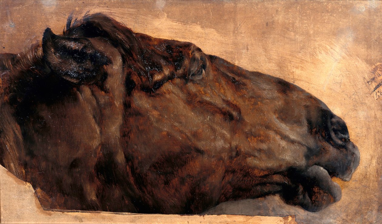 Hestestudie. Hode i profil mot høyre av Adolph Menzel
