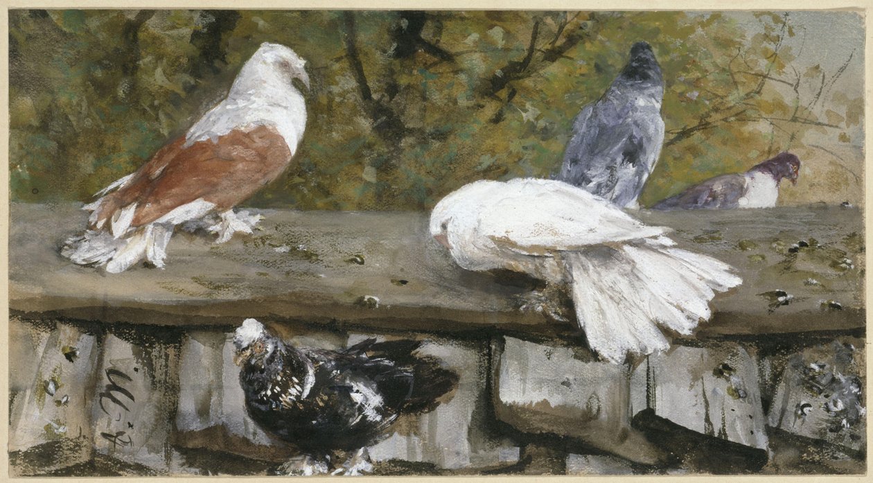 Duer på et tretak. Fra «Barnealbumet» av Adolph Menzel