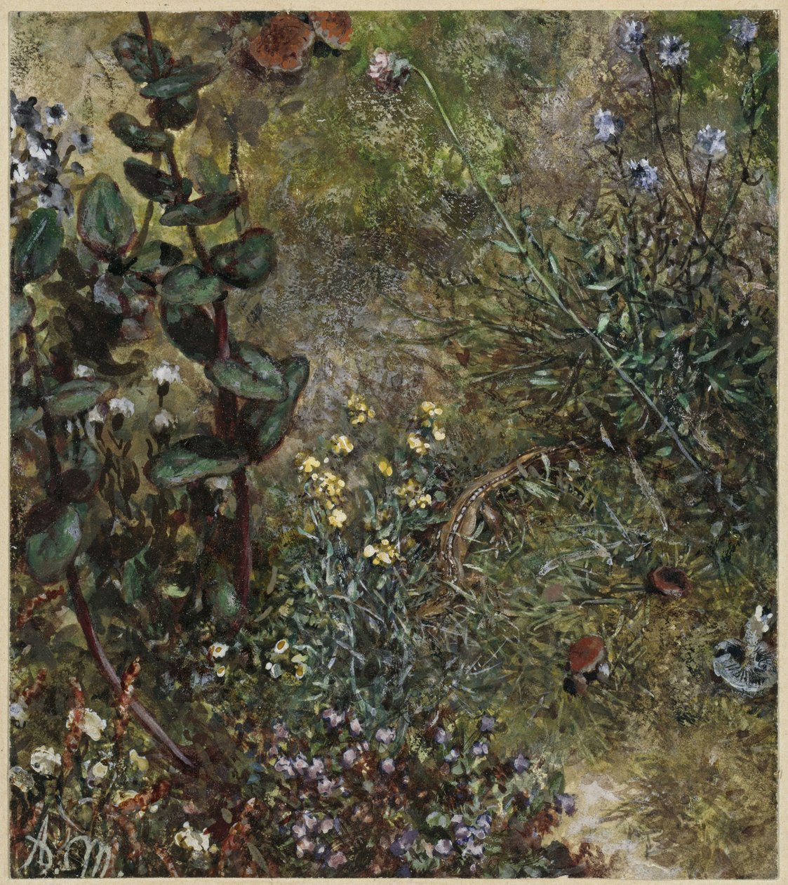Skogbunn med øglen. Fra «Barnealbumet» av Adolph Menzel