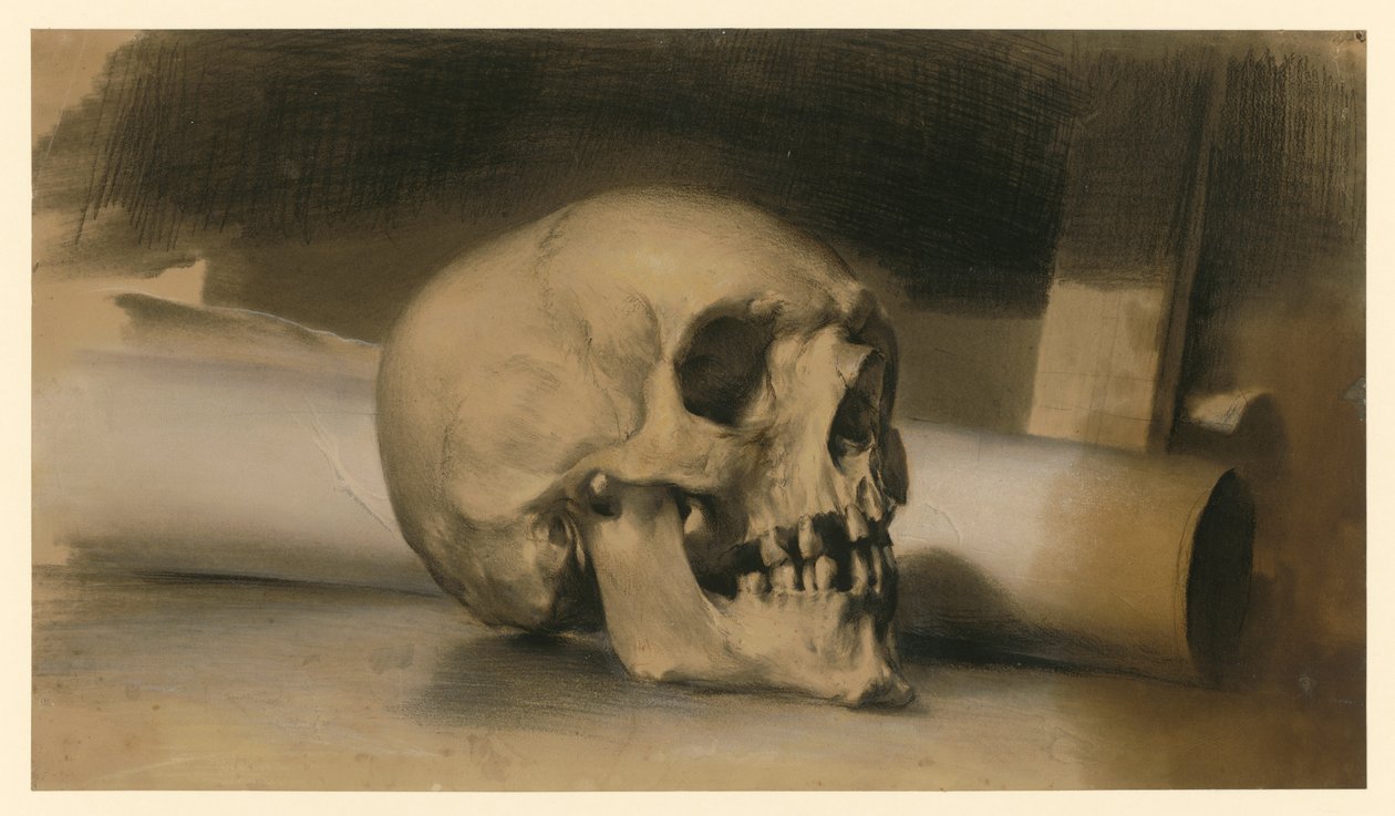 Menneskeskalle vendt mot høyre, med en papirrull bak av Adolph Menzel