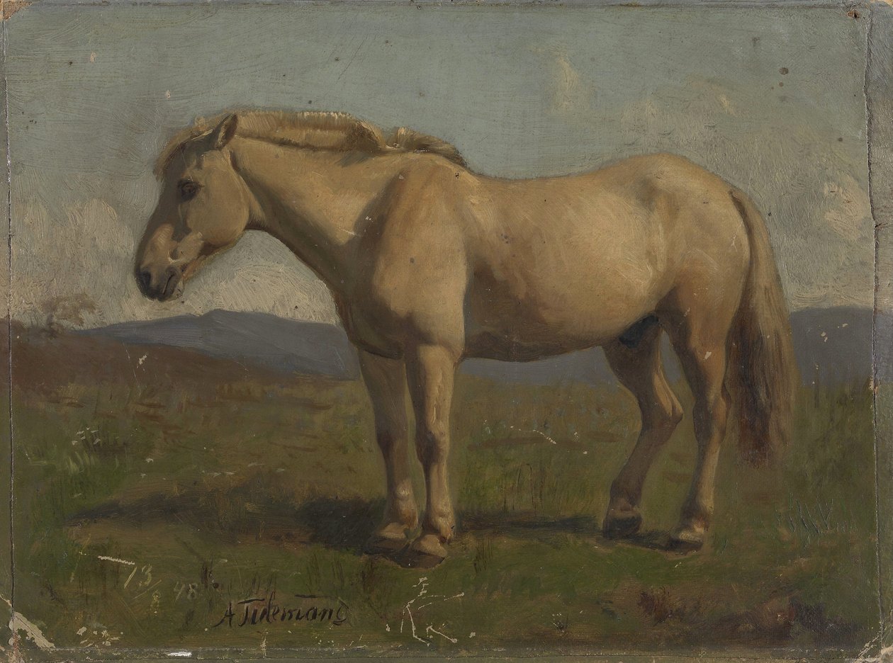 En blakk hest av Adolph Tidemand