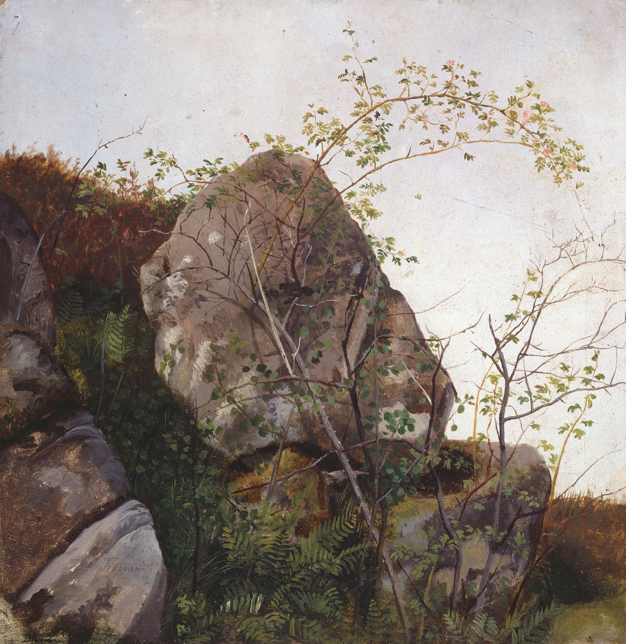 Blomstrende nypetorn og bregner av Adolph Tidemand