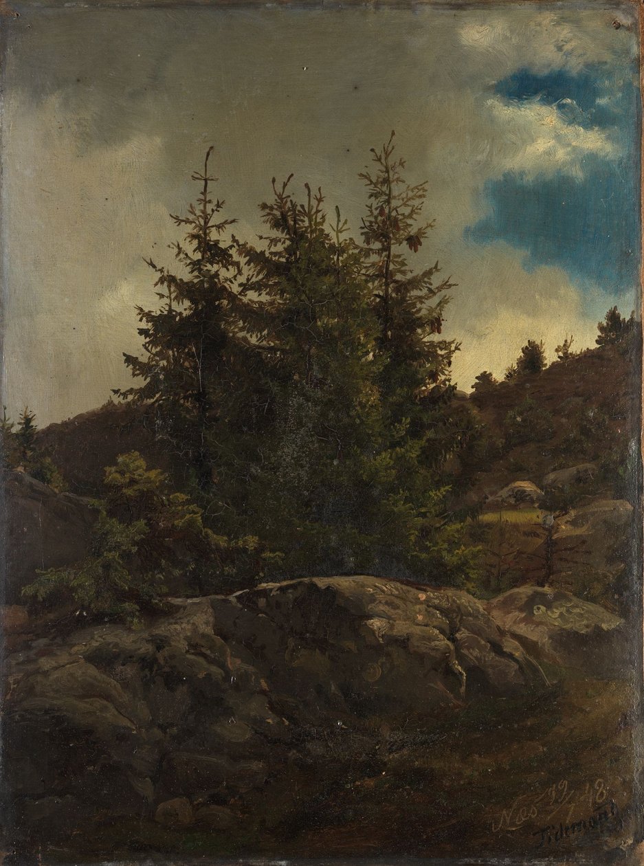 Landskap fra Nes i Hallingdal av Adolph Tidemand