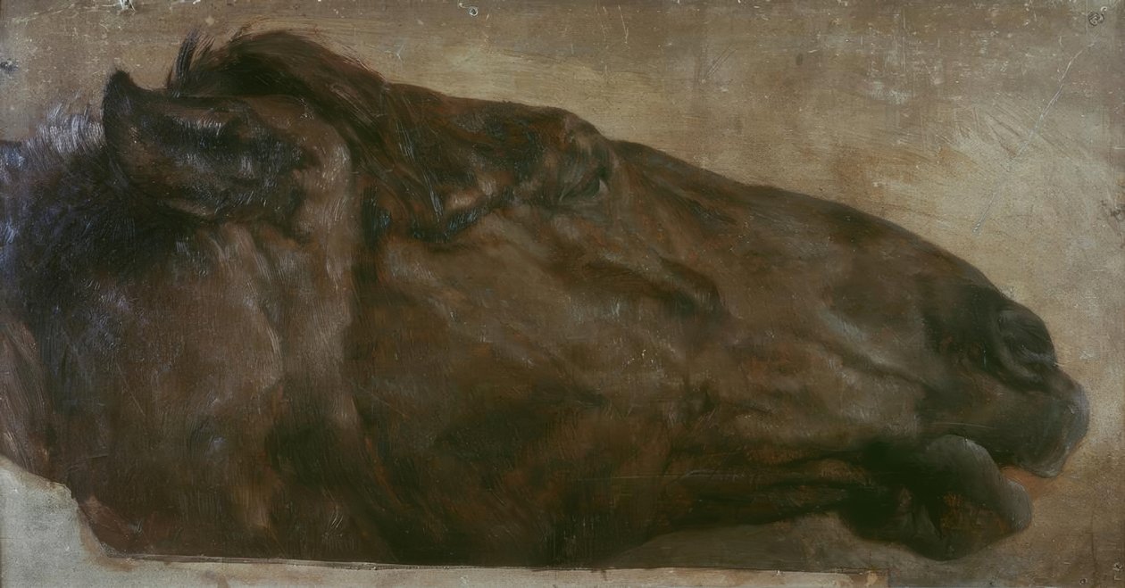 Hestestudie. Hodet fra siden til høyre av Adolph Menzel