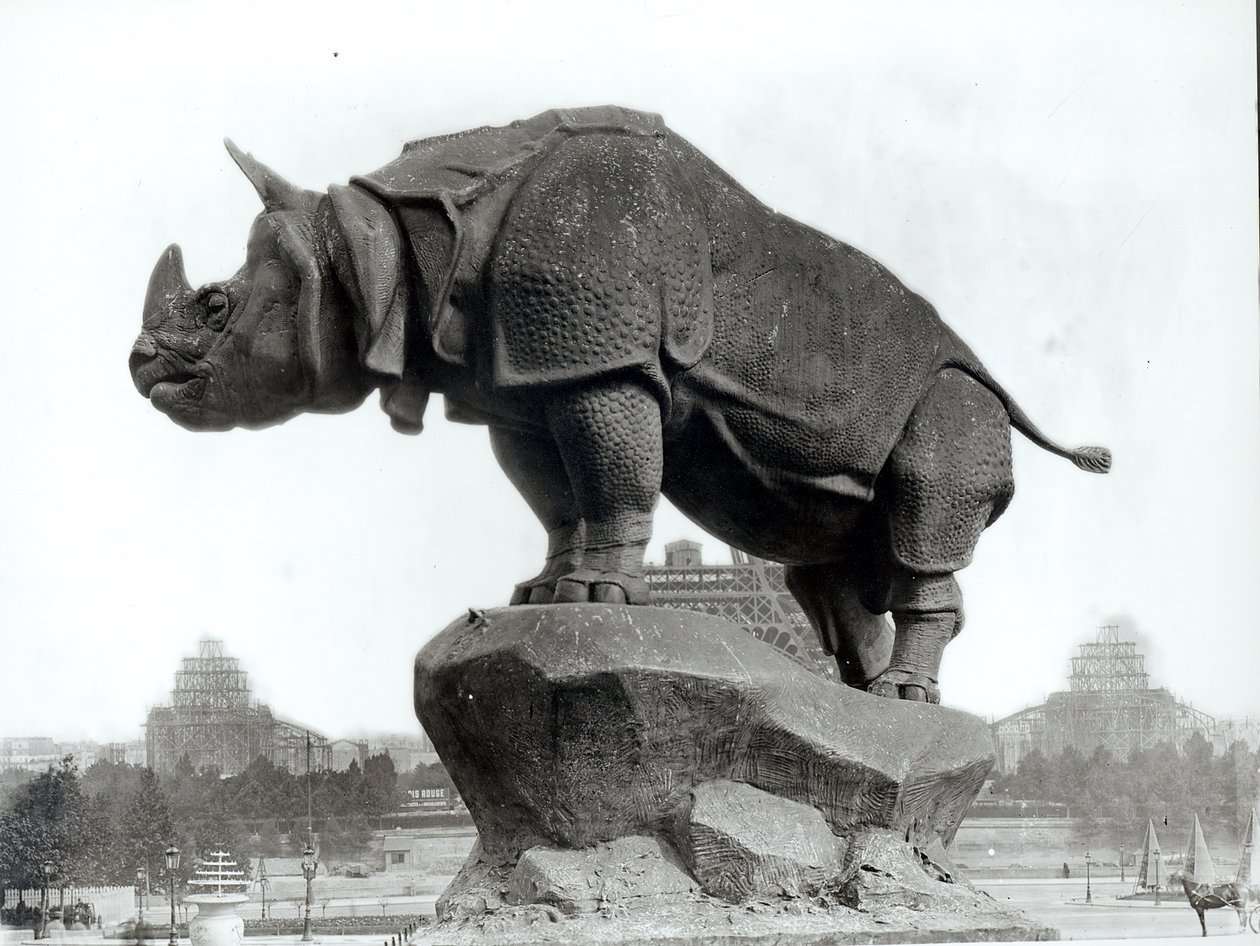 Rhinoceros, 1878, av Alfred Jacquemart (1824-96) foran Trocadero-palasset, konstruert for den universelle utstillingen (1878), Paris, 1888 av Adolphe Giraudon