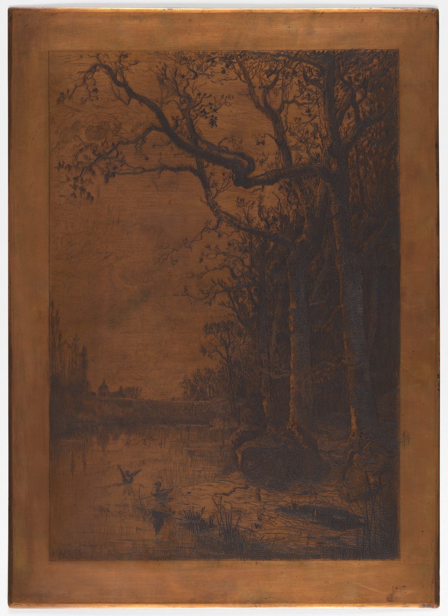 Etset kobberplate "Landscape with Ducks" av Adolphe Appian av Adolphe Appian