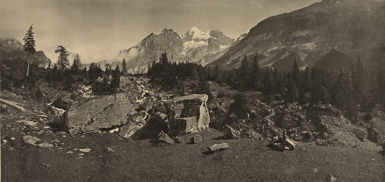  av Adolphe Braun