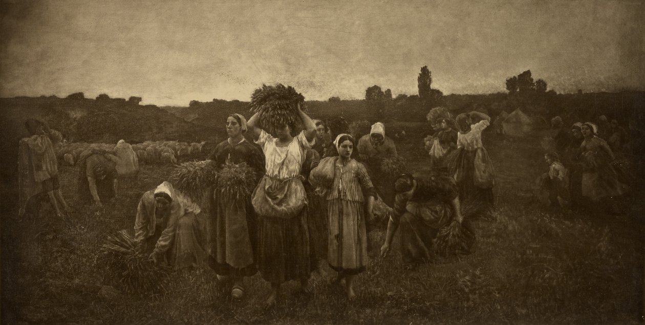 Kaller inn sankerne av Adolphe Braun